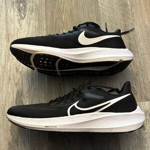 Nike Pegasus 39